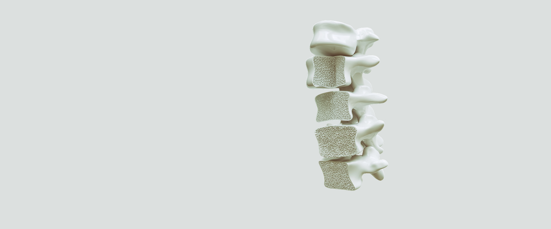 ORTOPEDIA E <br />
CIRURGIA DA COLUNA <br />
EM PATO BRANCO